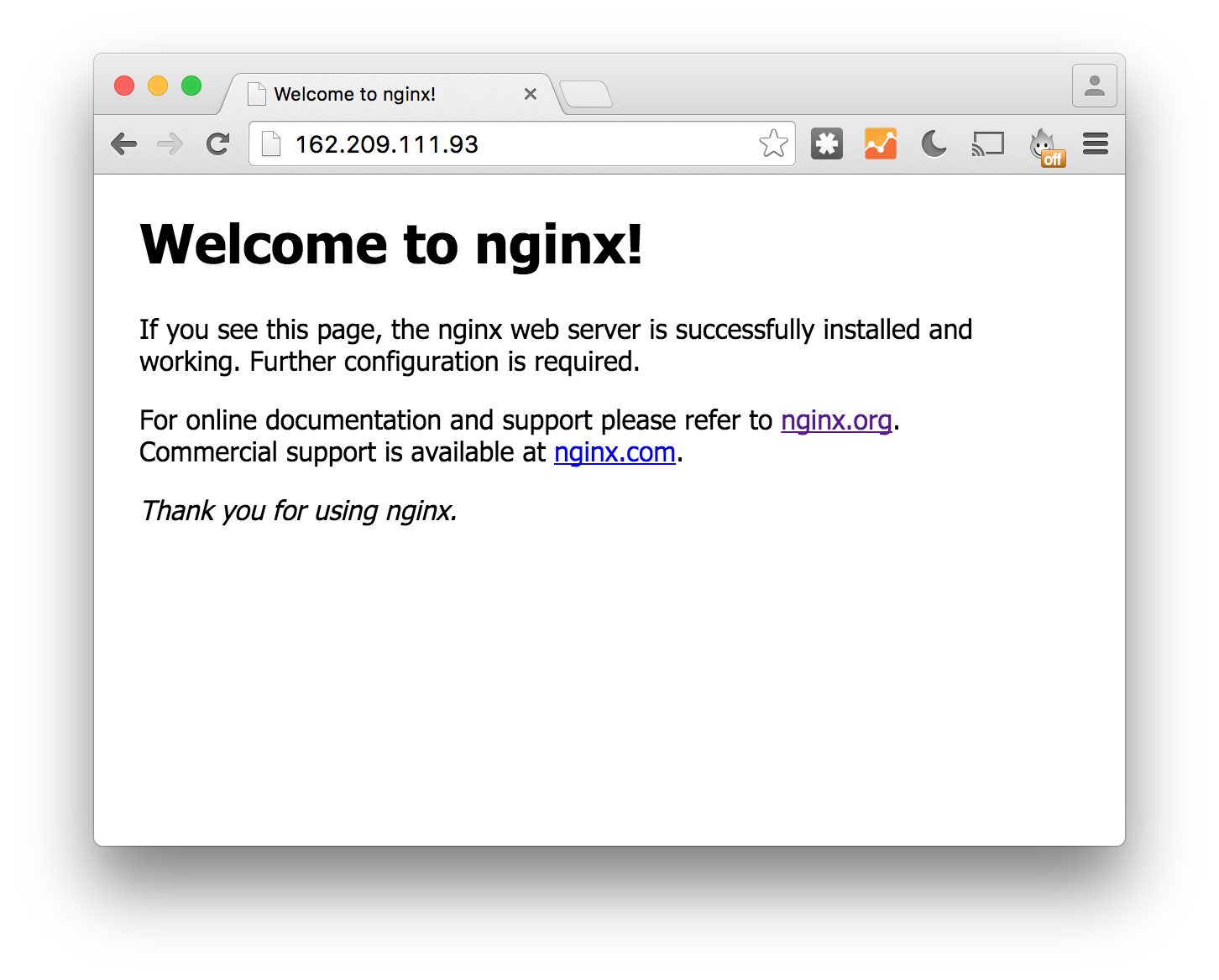 Default nginx config site